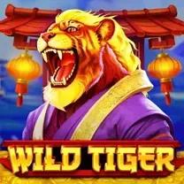Slot De Jogo De Dados 20bet